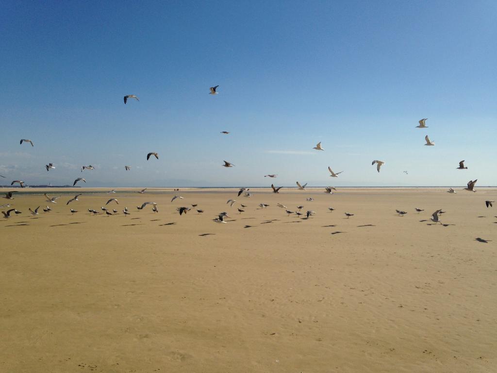 Rural Tarifa Beach Las Cabanas Ngoại thất bức ảnh
